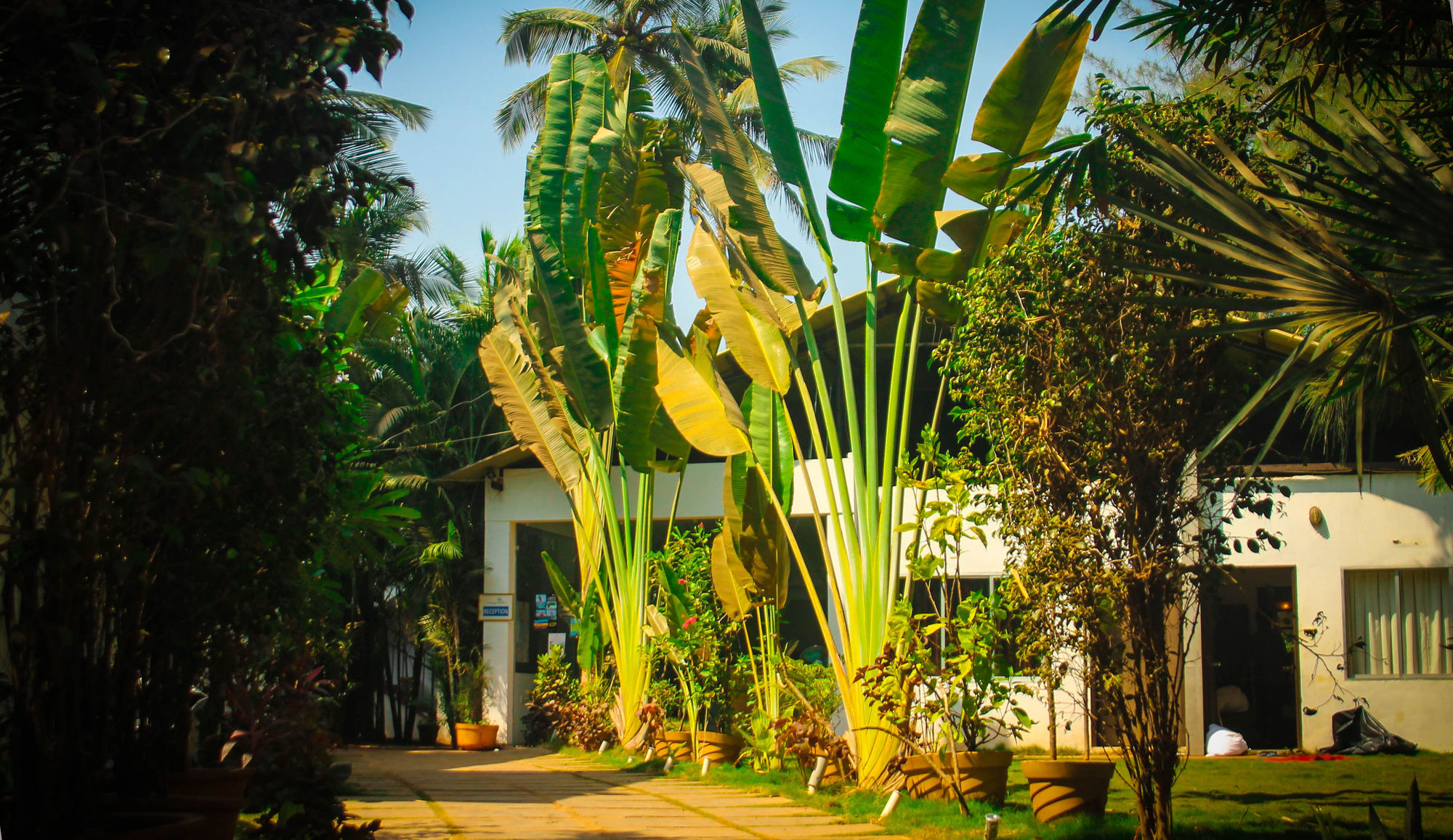 Rococco Ashvem Hotel Mandrem Exterior foto